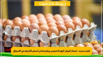 قفزة جديدة.. أسعار البيض اليوم الخميس ورقم مفاجئ لسعر الكرتونة في الأسواق 1